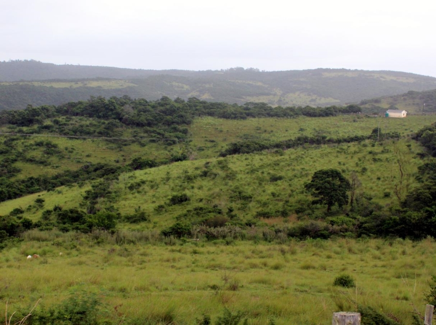 Commercial Property for Sale in East London Rural Eastern Cape